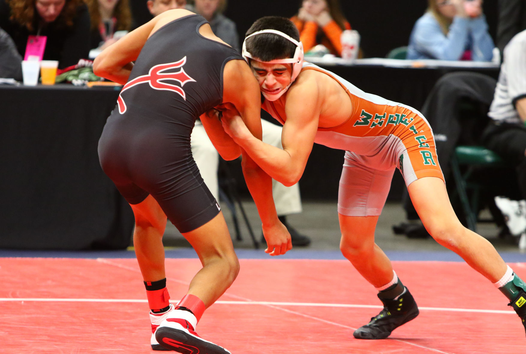 Gallery: Wrestling State Finals
